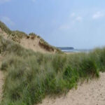 Local sand dunes